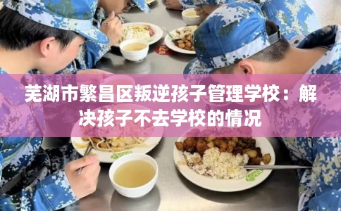 芜湖市繁昌区叛逆孩子管理学校:解决孩子不去学校的情况 芜湖市繁昌区叛逆孩子管理学校:解决孩子不去学校的情况