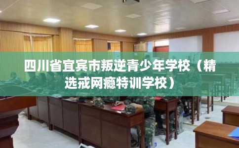 四川省宜宾市叛逆青少年学校(精选戒网瘾特训学校) 四川省宜宾市叛逆青少年学校(精选戒网瘾特训学校)