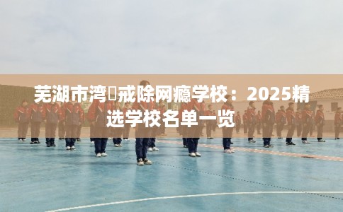芜湖市湾沚戒除网瘾学校：2025精选学校名单一览