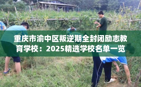 重庆市渝中区叛逆期全封闭励志教育学校：2025精选学校名单一览