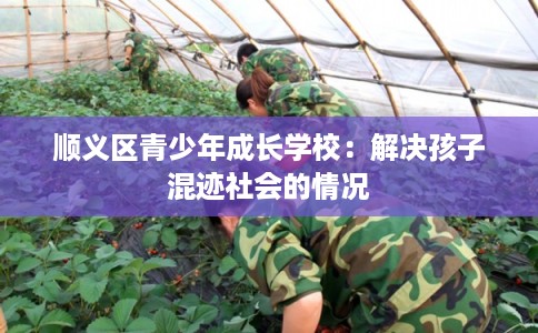 顺义区青少年成长学校：解决孩子混迹社会的情况