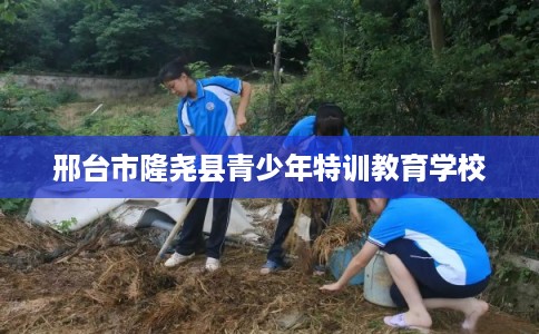 邢台市隆尧县青少年特训教育学校 邢台市隆尧县青少年特训教育学校