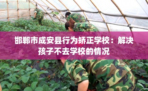 邯郸市成安县行为矫正学校：解决孩子不去学校的情况