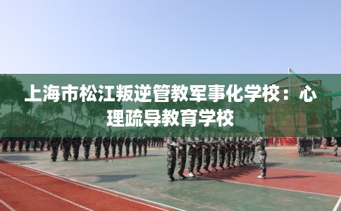 上海市松江叛逆管教军事化学校：心理疏导教育学校