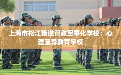 上海市松江叛逆管教军事化学校：心理疏导教育学校