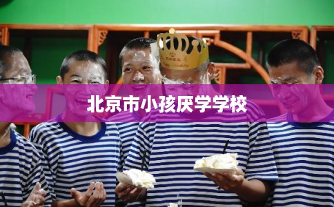 北京市小孩厌学学校
