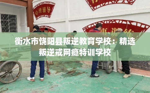 衡水市饶阳县叛逆教育学校：精选叛逆戒网瘾特训学校