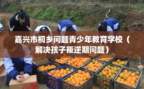 嘉兴市桐乡问题青少年教育学校（解决孩子叛逆期问题）