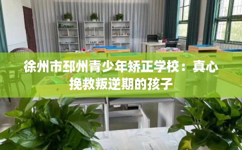徐州市邳州青少年矫正学校：真心挽救叛逆期的孩子