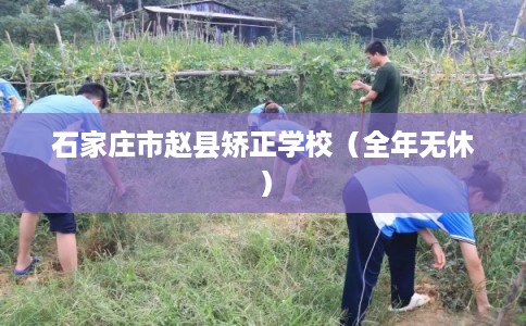 石家庄市赵县矫正学校（全年无休）