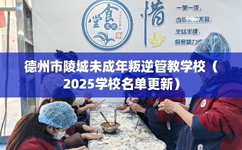 德州市陵城未成年叛逆管教学校（2025学校名单更新）