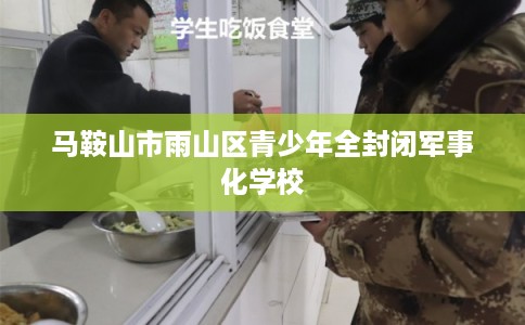 马鞍山市雨山区青少年全封闭军事化学校
