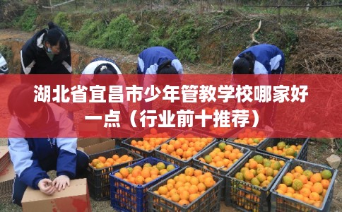 湖北省宜昌市少年管教学校哪家好一点(行业前十推荐) 湖北省宜昌市少年管教学校哪家好一点(行业前十推荐)