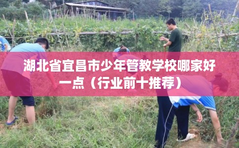 湖北省宜昌市少年管教学校哪家好一点(行业前十推荐) 湖北省宜昌市少年管教学校哪家好一点(行业前十推荐)