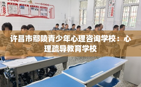 许昌市鄢陵青少年心理咨询学校：心理疏导教育学校