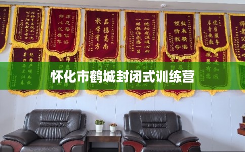 怀化市鹤城封闭式训练营 怀化市鹤城封闭式训练营