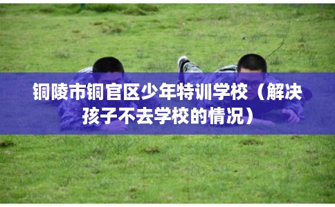 铜陵市铜官区少年特训学校(解决孩子不去学校的情况) 铜陵市铜官区少年特训学校(解决孩子不去学校的情况)