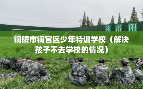铜陵市铜官区少年特训学校(解决孩子不去学校的情况) 铜陵市铜官区少年特训学校(解决孩子不去学校的情况)