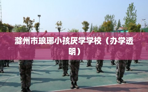 滁州市琅琊小孩厌学学校(办学透明) 滁州市琅琊小孩厌学学校(办学透明)