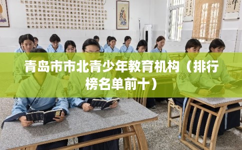 青岛市市北青少年教育机构(排行榜名单前十) 青岛市市北青少年教育机构(排行榜名单前十)