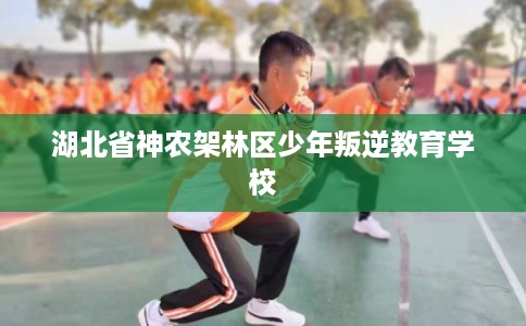 湖北省神农架林区少年叛逆教育学校 湖北省神农架林区少年叛逆教育学校