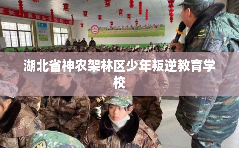 湖北省神农架林区少年叛逆教育学校 湖北省神农架林区少年叛逆教育学校