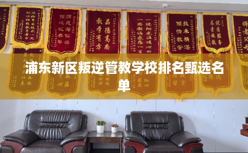 浦东新区叛逆管教学校排名甄选名单 浦东新区叛逆管教学校排名甄选名单