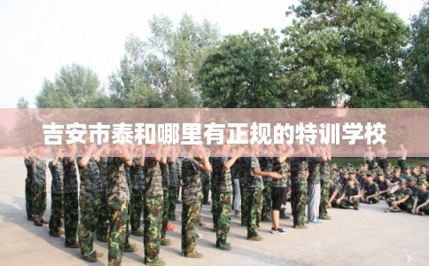 吉安市泰和哪里有正规的特训学校 吉安市泰和哪里有正规的特训学校