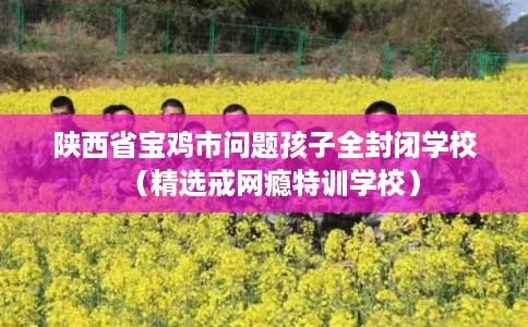 陕西省宝鸡市问题孩子全封闭学校(精选戒网瘾特训学校) 陕西省宝鸡市问题孩子全封闭学校(精选戒网瘾特训学校)