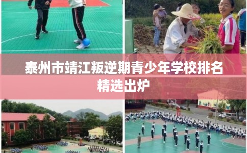 泰州市靖江叛逆期青少年学校排名精选出炉 泰州市靖江叛逆期青少年学校排名精选出炉