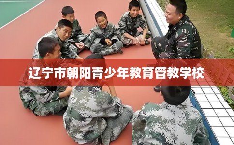 辽宁市朝阳青少年教育管教学校 辽宁市朝阳青少年教育管教学校