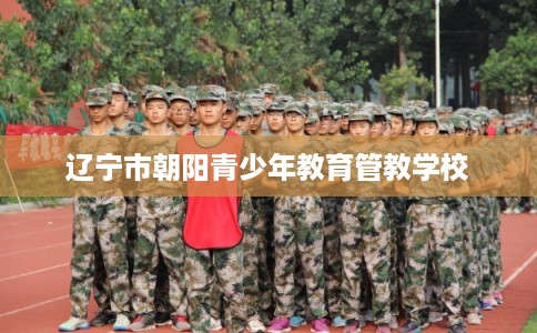 辽宁市朝阳青少年教育管教学校 辽宁市朝阳青少年教育管教学校
