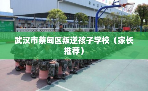 武汉市蔡甸区叛逆孩子学校(家长推荐) 武汉市蔡甸区叛逆孩子学校(家长推荐)