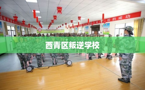 西青区叛逆学校 西青区叛逆学校