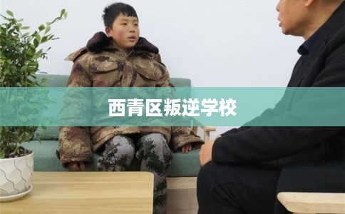 西青区叛逆学校 西青区叛逆学校