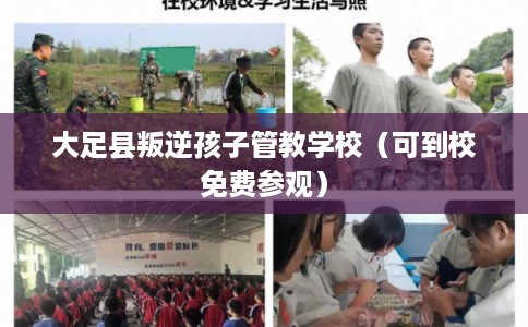 大足县叛逆孩子管教学校(可到校免费参观) 大足县叛逆孩子管教学校(可到校免费参观)