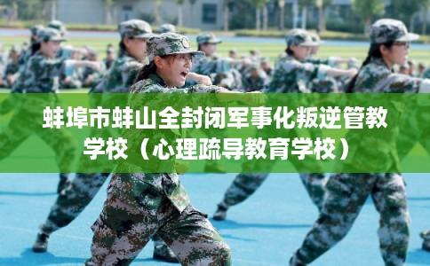 蚌埠市蚌山全封闭军事化叛逆管教学校(心理疏导教育学校) 蚌埠市蚌山全封闭军事化叛逆管教学校(心理疏导教育学校)