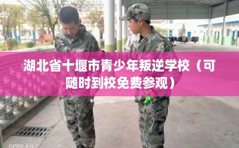 湖北省十堰市青少年叛逆学校(可随时到校免费参观) 湖北省十堰市青少年叛逆学校(可随时到校免费参观)