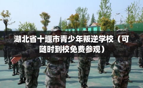 湖北省十堰市青少年叛逆学校(可随时到校免费参观) 湖北省十堰市青少年叛逆学校(可随时到校免费参观)