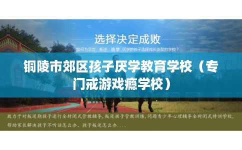 铜陵市郊区孩子厌学教育学校(专门戒游戏瘾学校) 铜陵市郊区孩子厌学教育学校(专门戒游戏瘾学校)