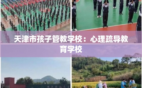天津市孩子管教学校:心理疏导教育学校 天津市孩子管教学校:心理疏导教育学校
