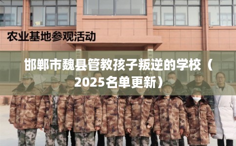邯郸市魏县管教孩子叛逆的学校(2025名单更新) 邯郸市魏县管教孩子叛逆的学校(2025名单更新)