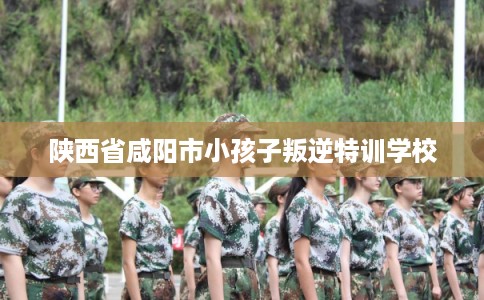 陕西省咸阳市小孩子叛逆特训学校 陕西省咸阳市小孩子叛逆特训学校