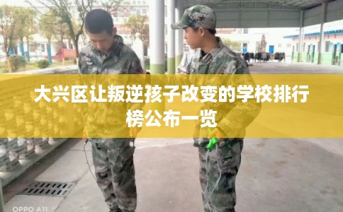 大兴区让叛逆孩子改变的学校排行榜公布一览