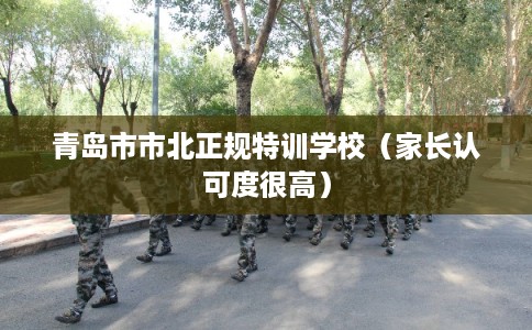 青岛市市北正规特训学校(家长认可度很高) 青岛市市北正规特训学校(家长认可度很高)