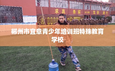 郴州市宜章青少年培训班特殊教育学校