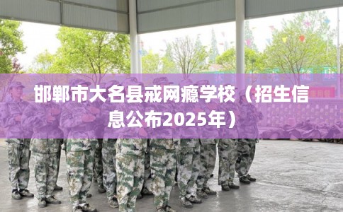 邯郸市大名县戒网瘾学校(招生信息公布2025年) 邯郸市大名县戒网瘾学校(招生信息公布2025年)