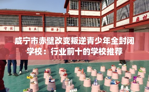 咸宁市赤壁改变叛逆青少年全封闭学校:行业前十的学校推荐 咸宁市赤壁改变叛逆青少年全封闭学校:行业前十的学校推荐