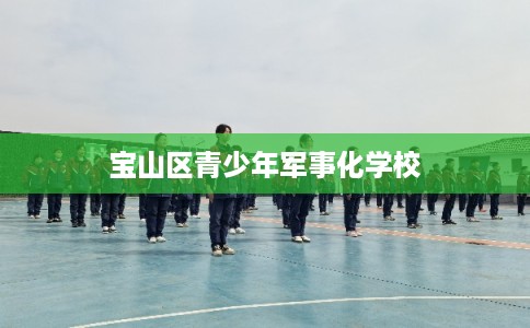 宝山区青少年军事化学校 宝山区青少年军事化学校