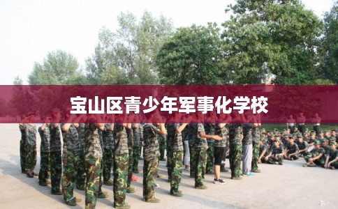 宝山区青少年军事化学校 宝山区青少年军事化学校